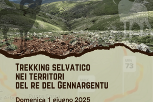 Trekking selvatico nei territori del re del Gennargentu