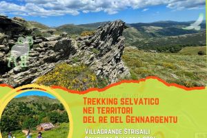 Trekking selvatico nei territori del re del Gennargentu