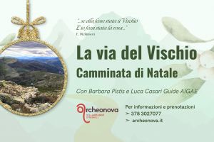 La via del Vischio. Camminata di Natale > Villagrande Strisaili